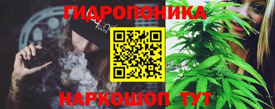 прущие крисы Берёзовский