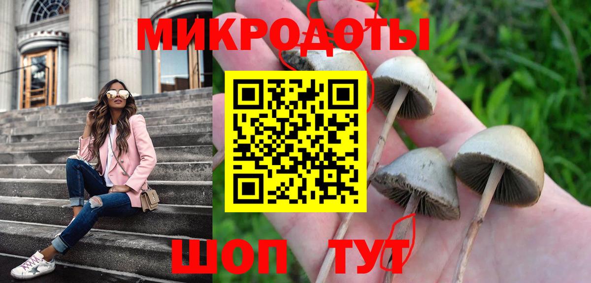 Псилоцибиновые грибы Magic Shrooms  Вход с VPN  Гатчина 