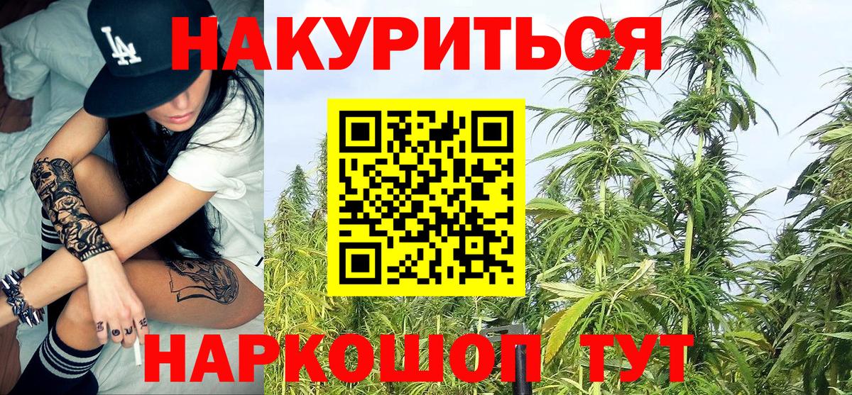 Шишки марихуана семена  Марихуана гибрид  Гатчина  Вход с VPN 